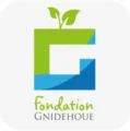 Fondation Gnidehoue